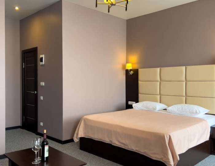 СТУДИЯ 2-МЕСТНЫЙ 1-КОМНАТНЫЙ (БЕЗ БАЛКОНА) - Отель «Жоэквара» Гагра